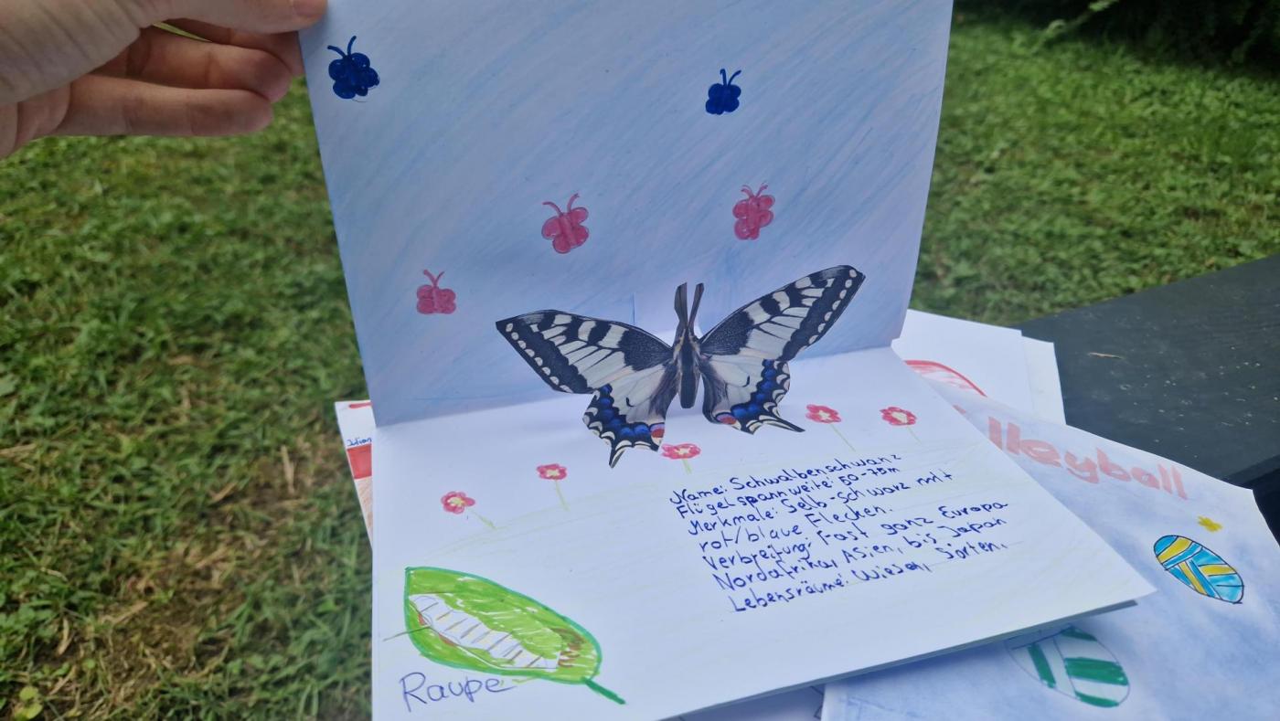 Graziella Herzog Pop-up-Buch