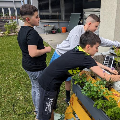 Bewaesserung23_2G_03