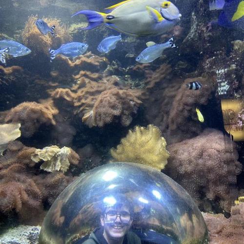 Fisch
