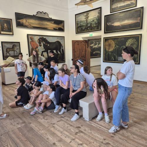 Salzburg_Graziella_09