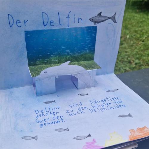Pop-up-Buch