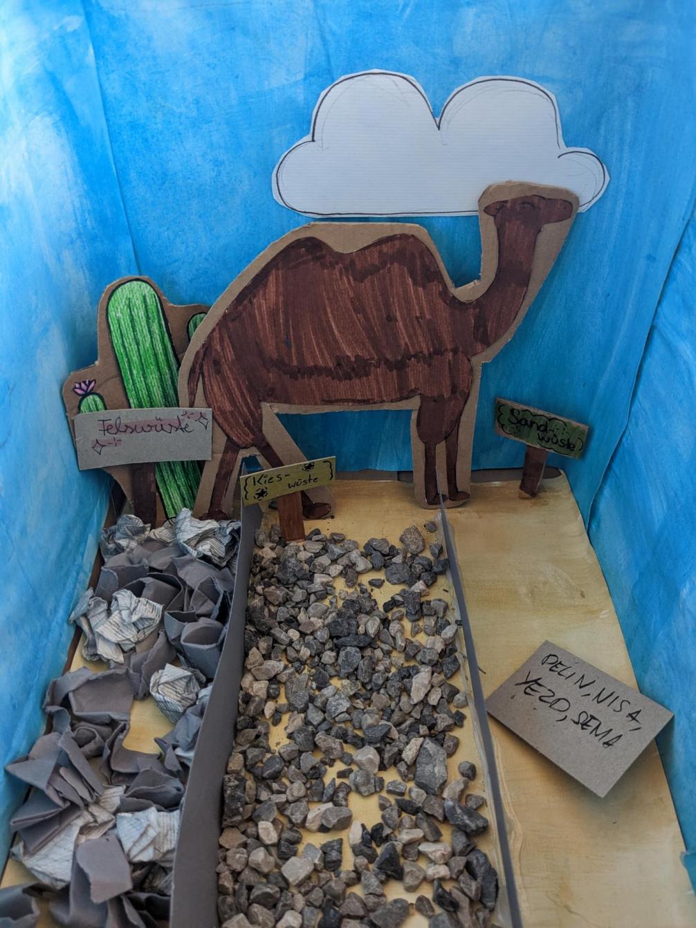 Schuhkarton_Wüstenarten 2