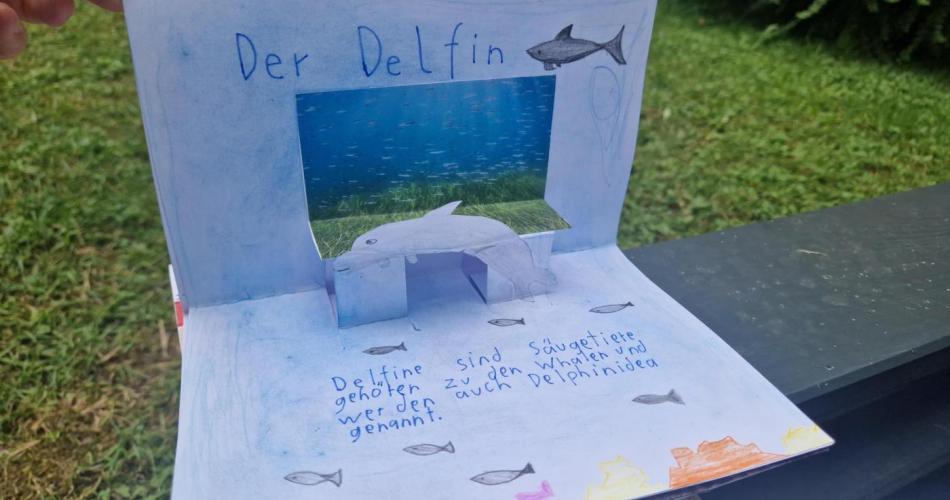 Pop-up-Buch